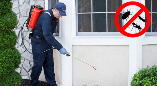 Bozyaka Karınca İlaçlama böcek ilaçlama ve haşere kontrolü — ilaclama-tr.com